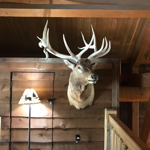 Meet your Posher, Mark - Picture 1 of 1